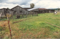 Olson farm, photo taken 1989. Copyright 2013 Genealogy Sisters.